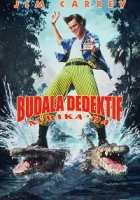 Budala Dedektif Afrika'da 1995 Poster