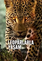 Leoparlarla Yaşam 2024 Poster