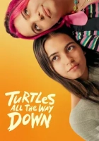 Turtles All the Way Down 2024 Poster